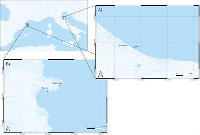 Plasticity of the Anemonia viridis microbiota in response to different levels of combined anthropogenic and environmental stresses